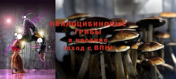 спиды Аркадак