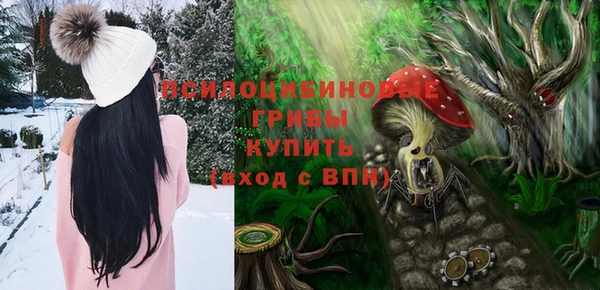 спиды Аркадак