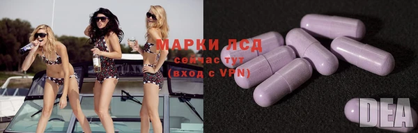спиды Аркадак