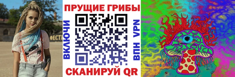 Псилоцибиновые грибы Psilocybe Лиски